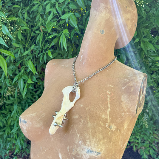 BARBED PELVIS necklace