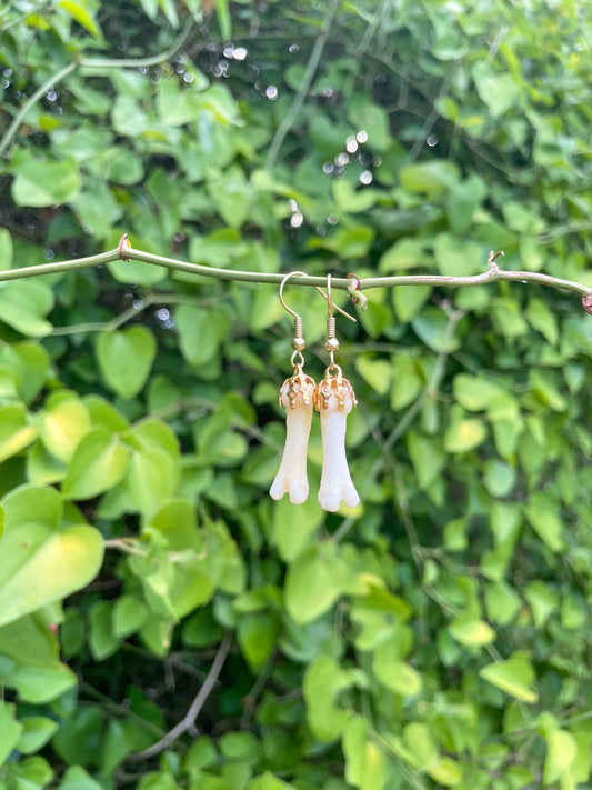 mini bone earrings